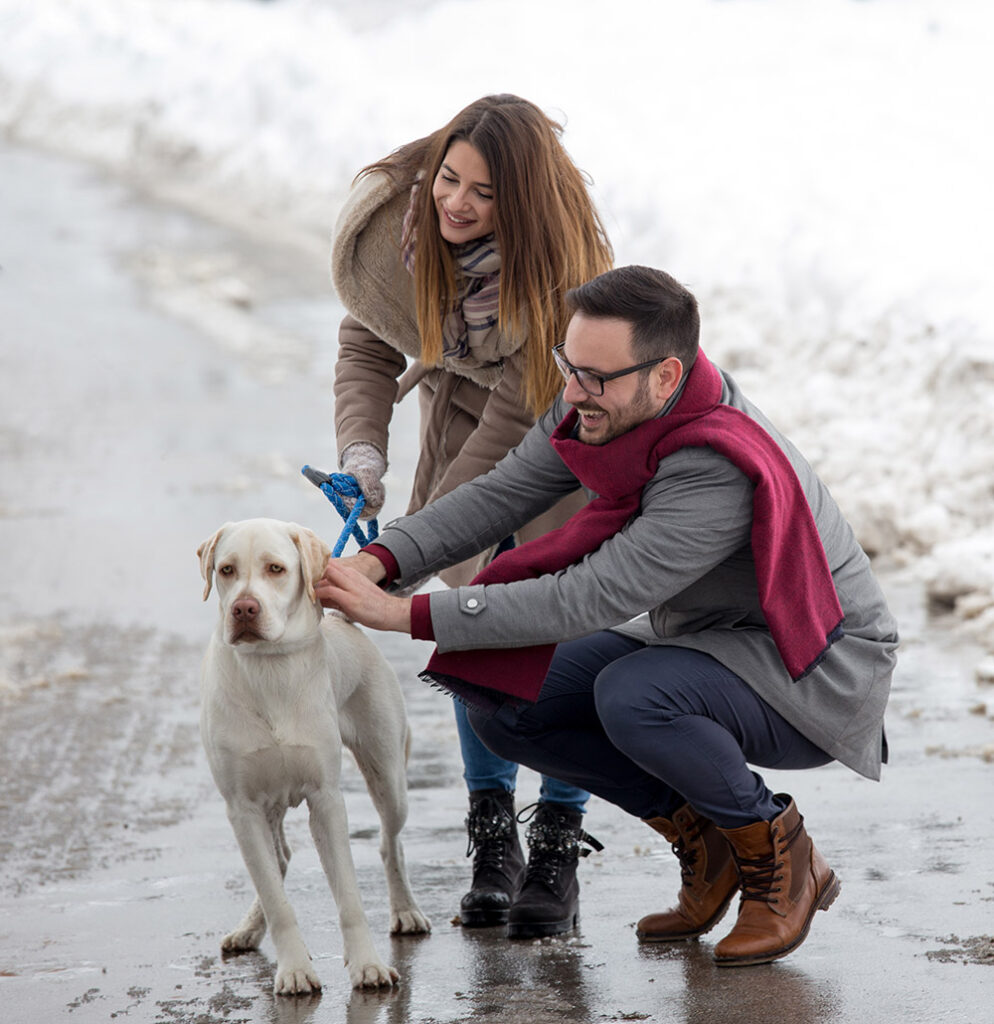 When Is It Too Cold To Walk Your Dog