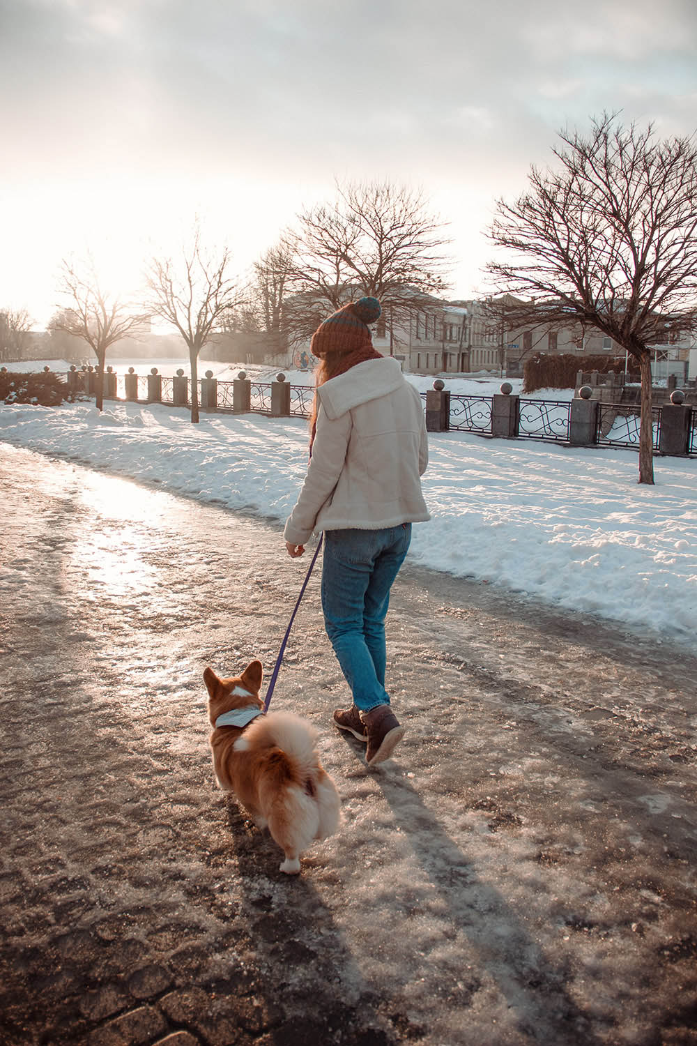 When Should You Walk The Dog