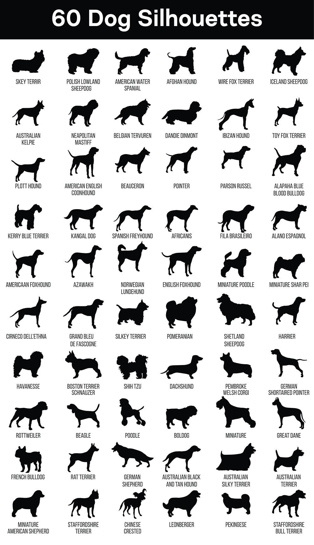 dog breed