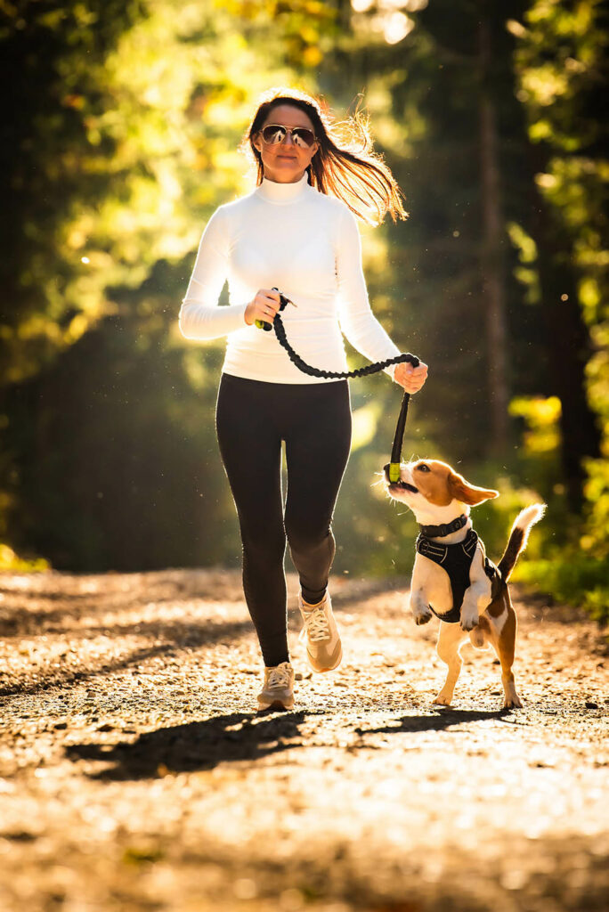 dog walking in hot weather