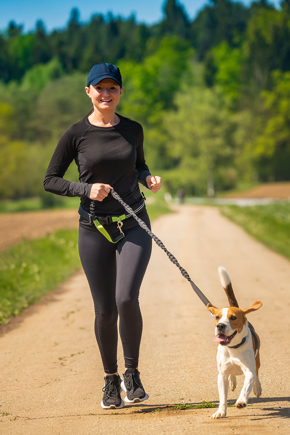 dog walking in hot weather