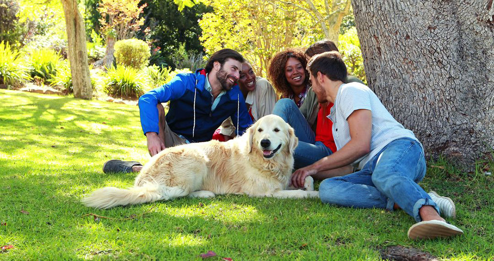 dog and group of friends