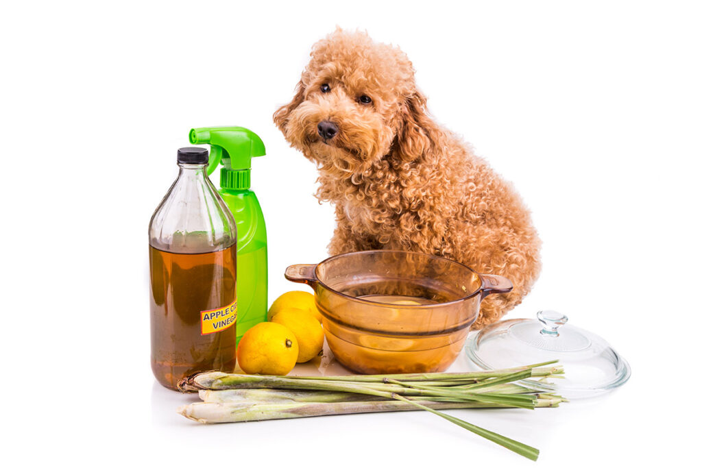 apple cider vinegar, lemon and lemongrass