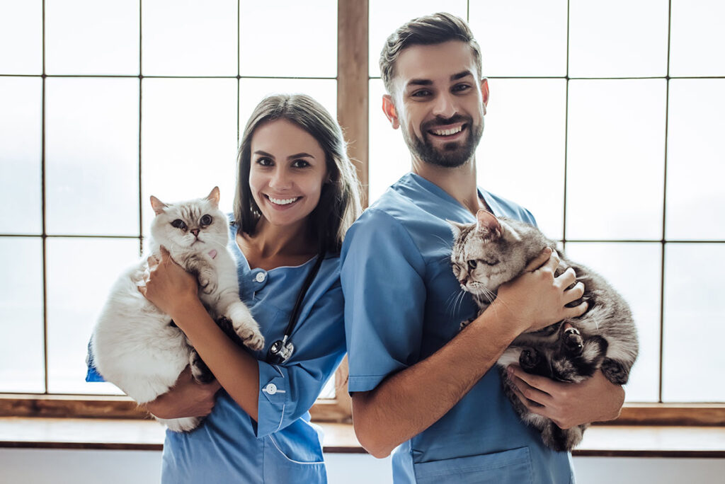 Doctor veterinarian at clinic