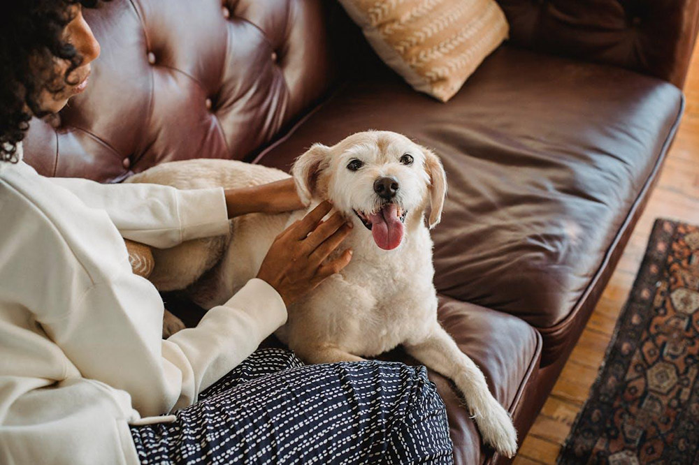 Educational Pet Care Tips