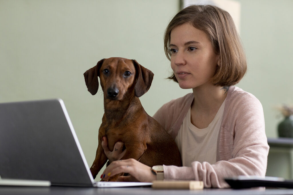 Online Puppy Training