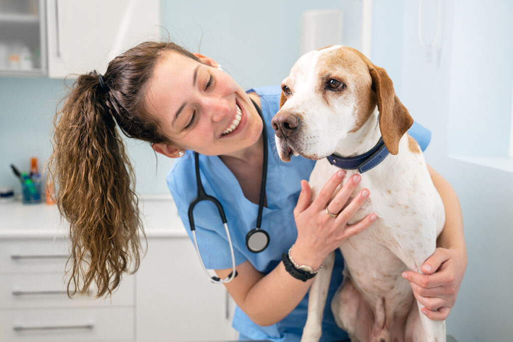 Young happy veterinary nurse