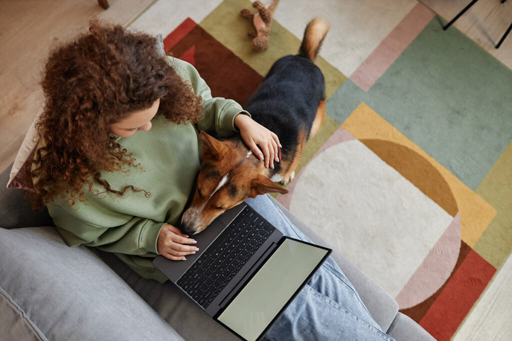 Adopt a Pet as a Student