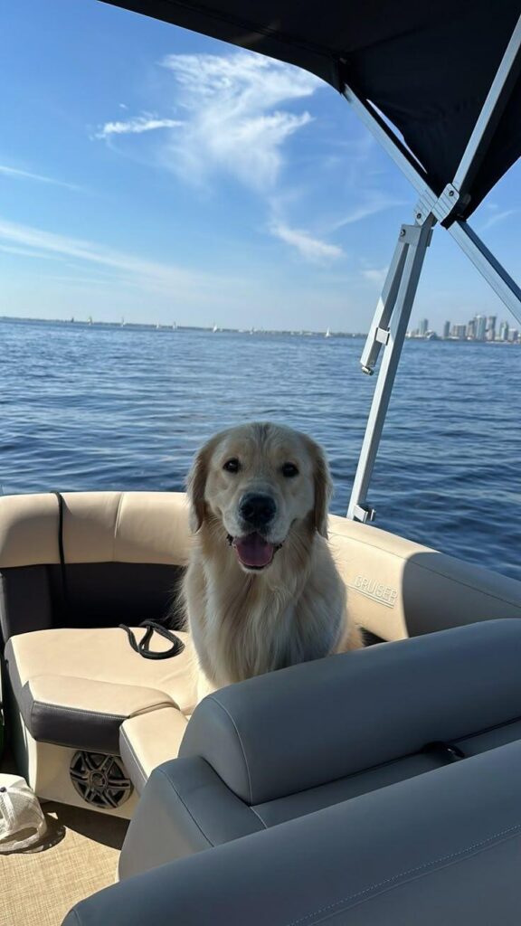 pet on Yacht Charters
