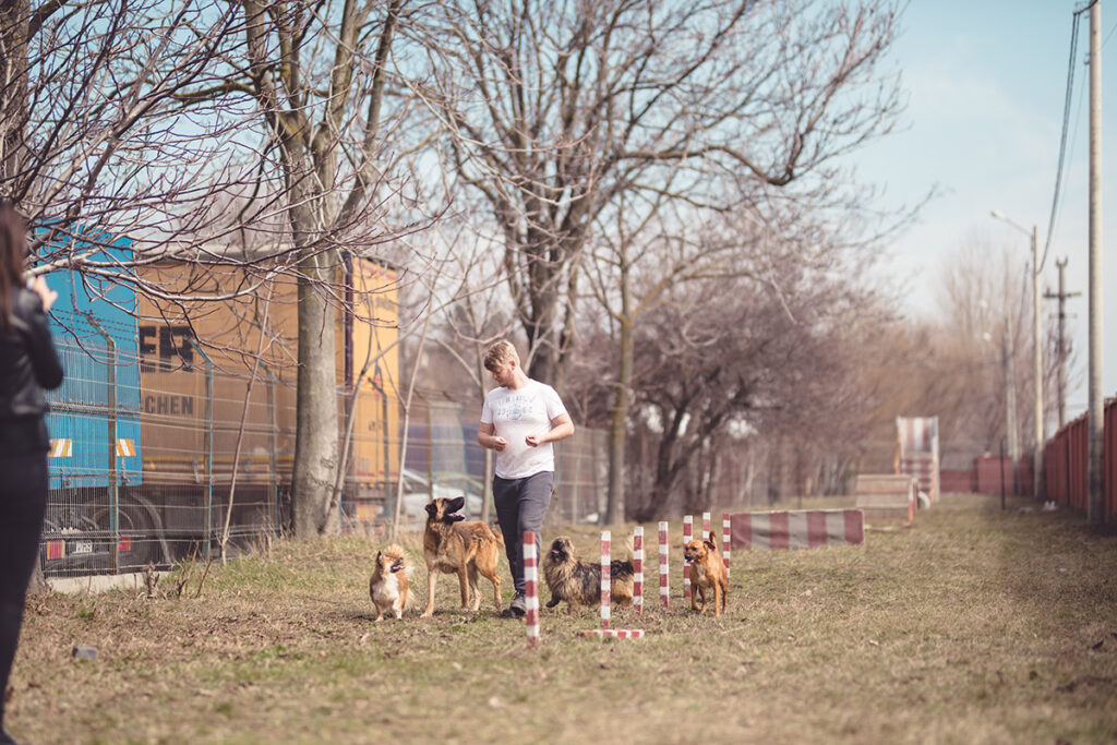 dog trainer