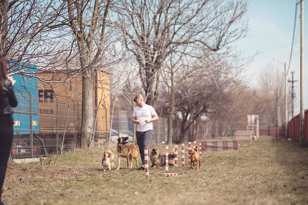 dog trainer