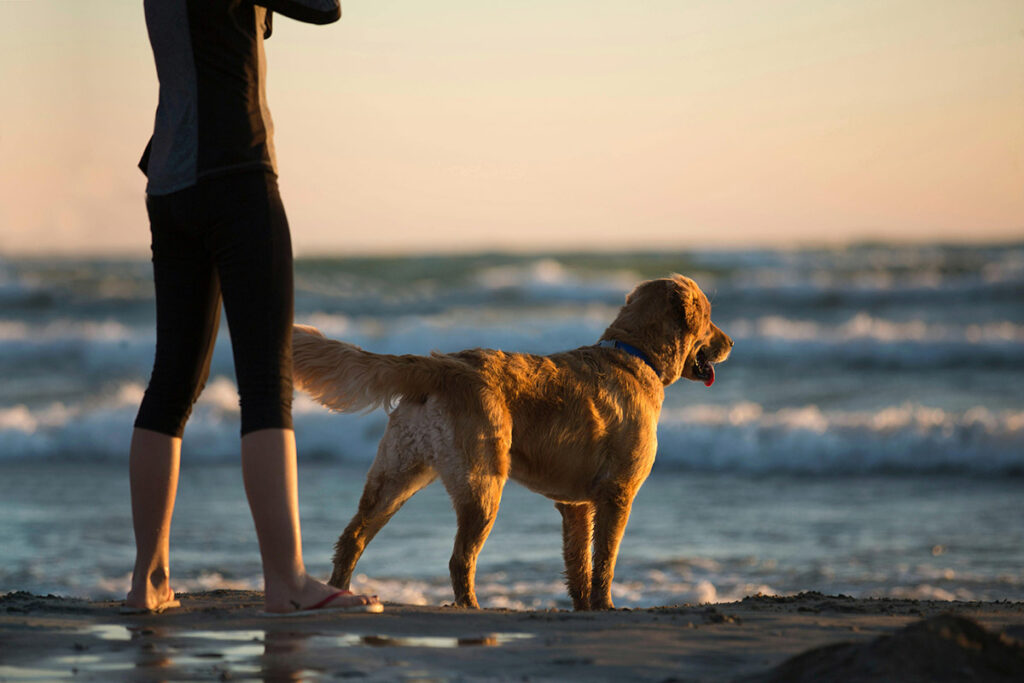 Person Standing Beside Dog