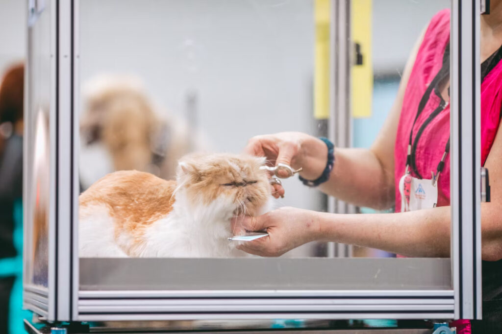 Veterinary School