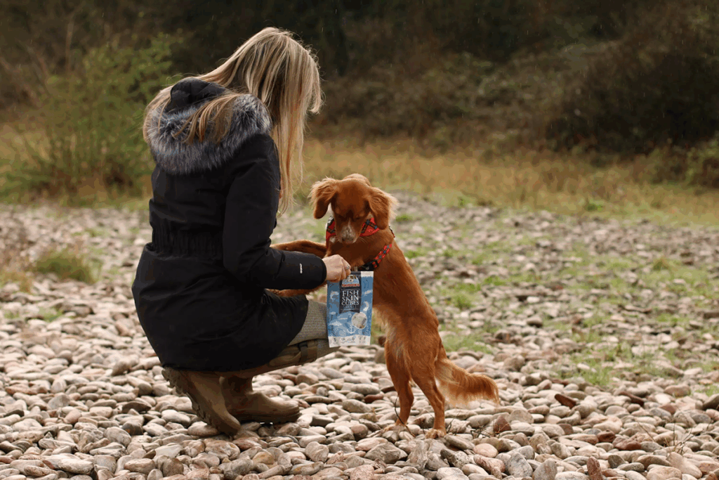 dog snack