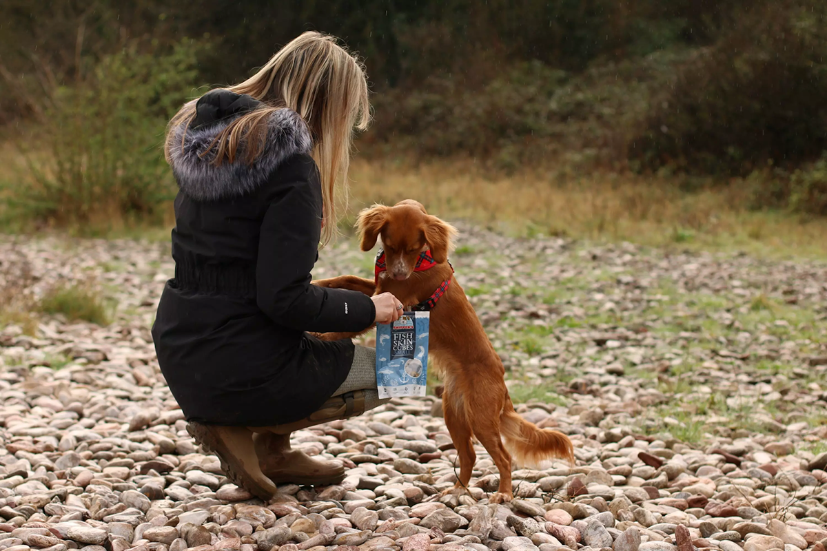 dog snack