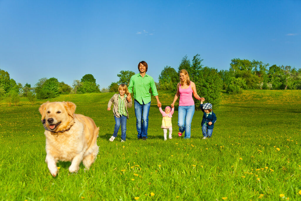 family walks with running dog in park