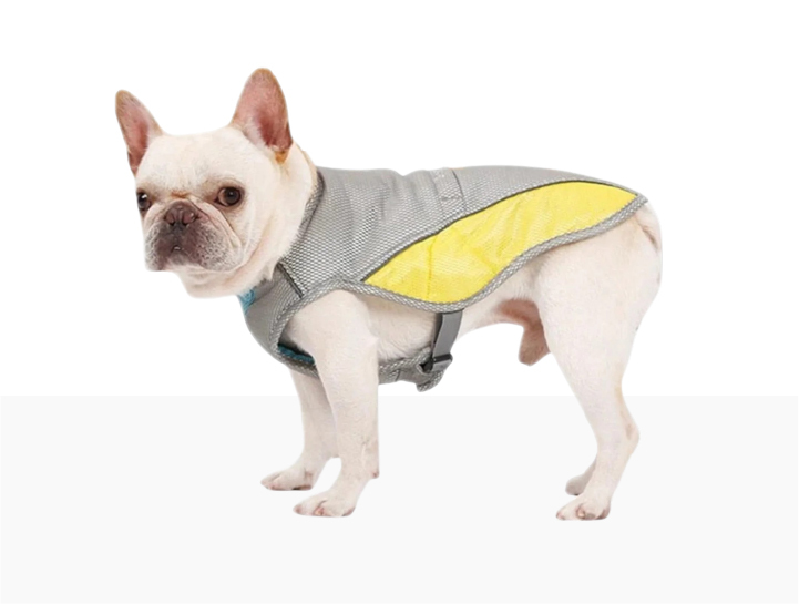 Harness Bulldogs 4