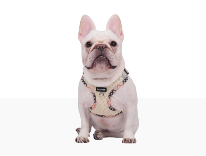 Harness Bulldogs 6