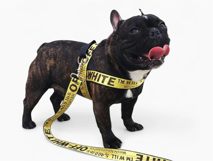 Harness Bulldogs 7