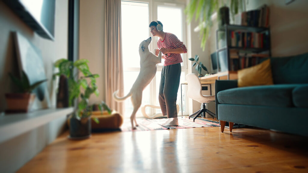 pet in modern apartment